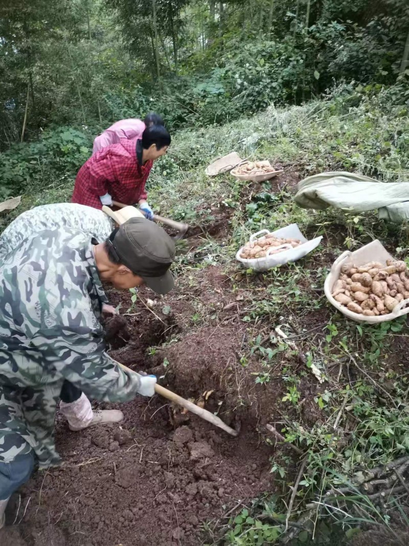 微信图片_20241029173700