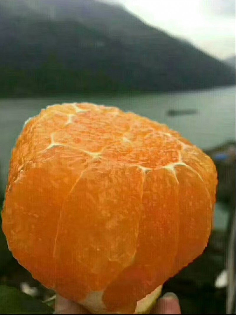 微信图片_20241216135411