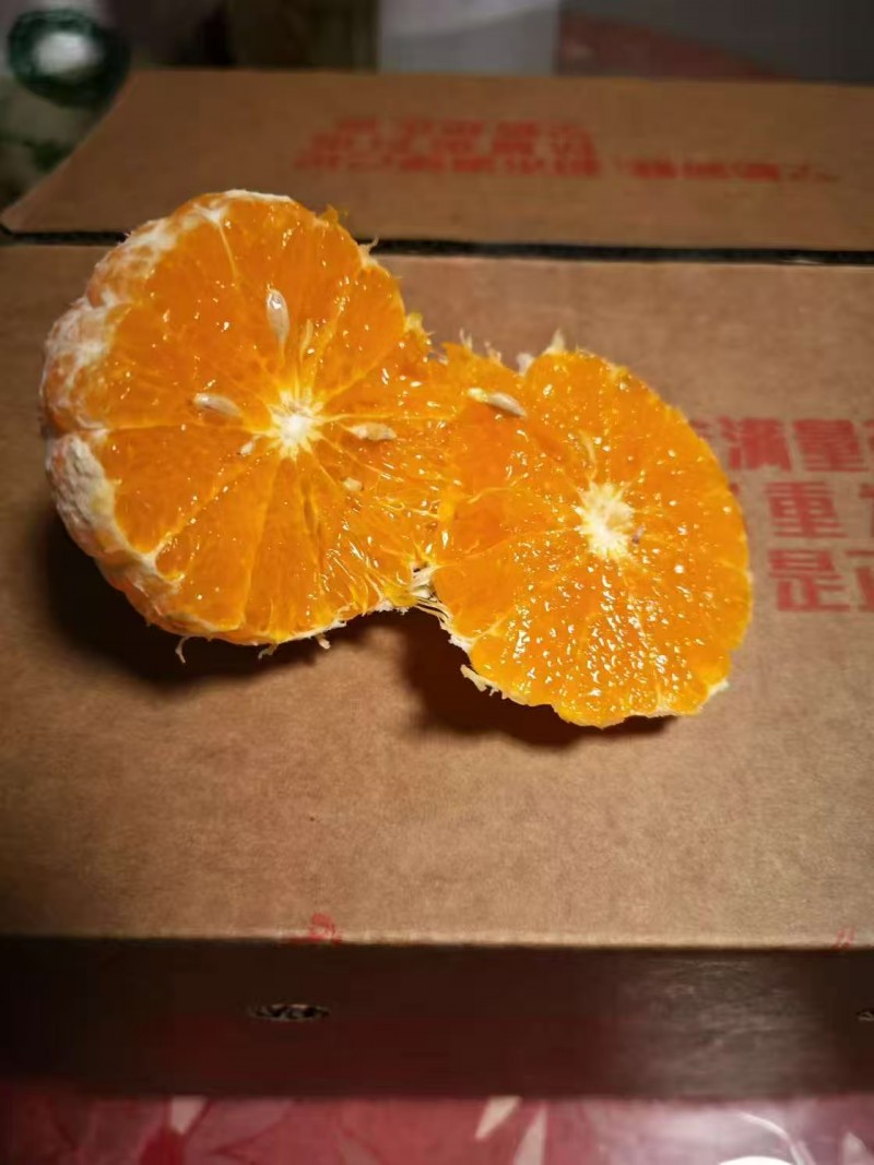 微信图片_20250220103100